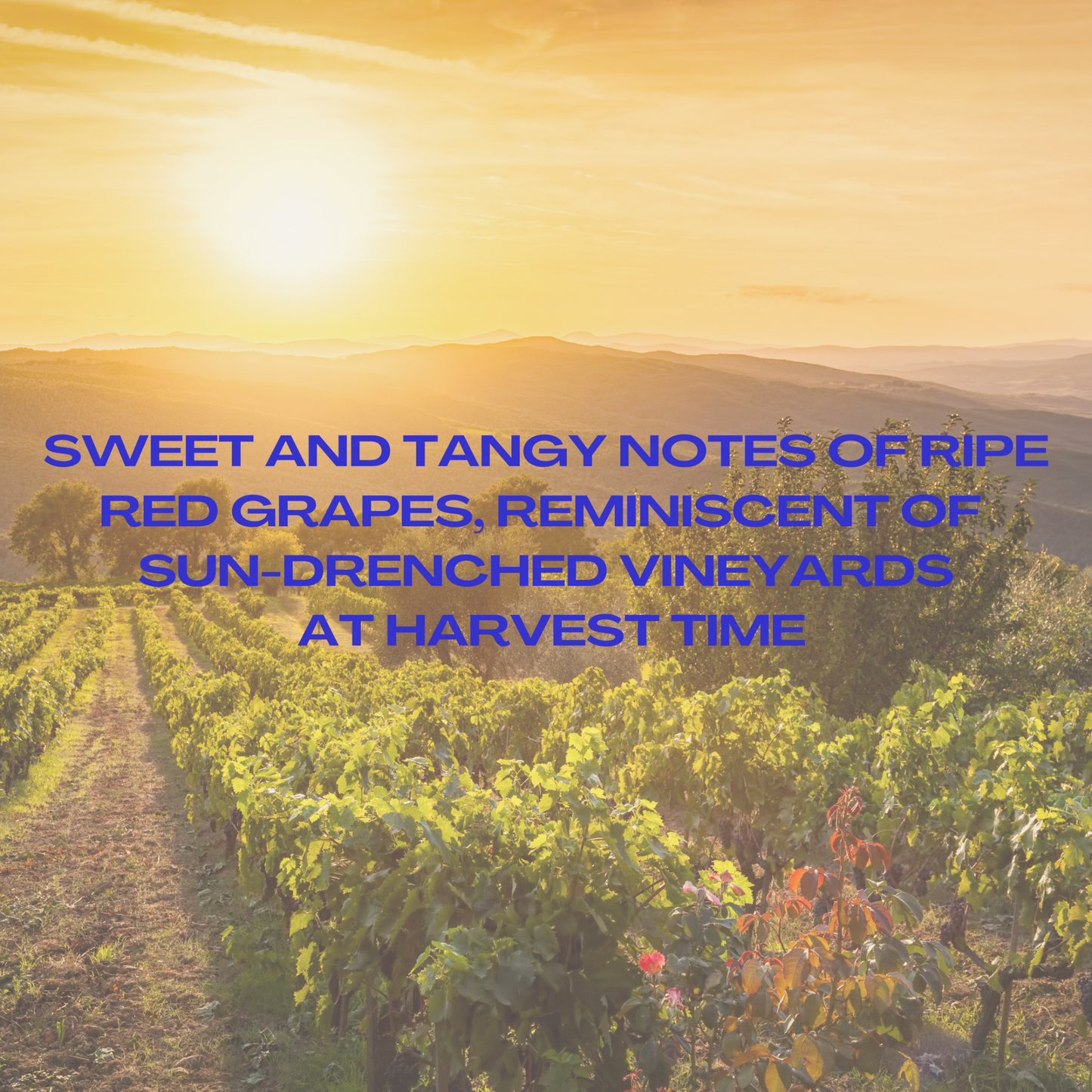 Candle "Mommy’s home"