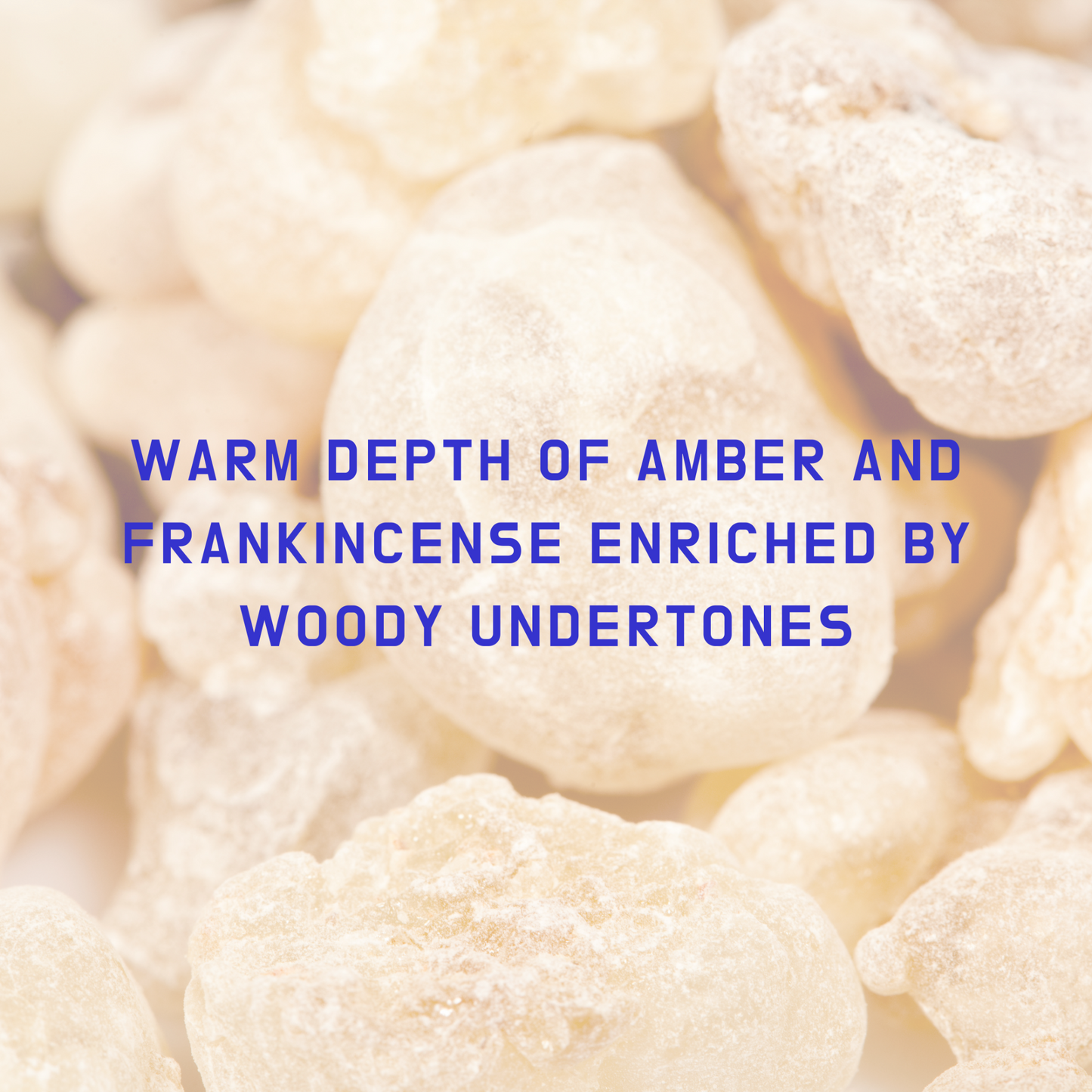 Candle "MY SEASHELL (strong & cute)"